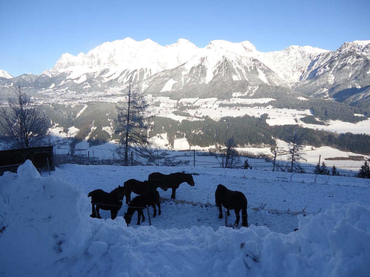 Hôtel Asingerhof à Schladming Extérieur photo